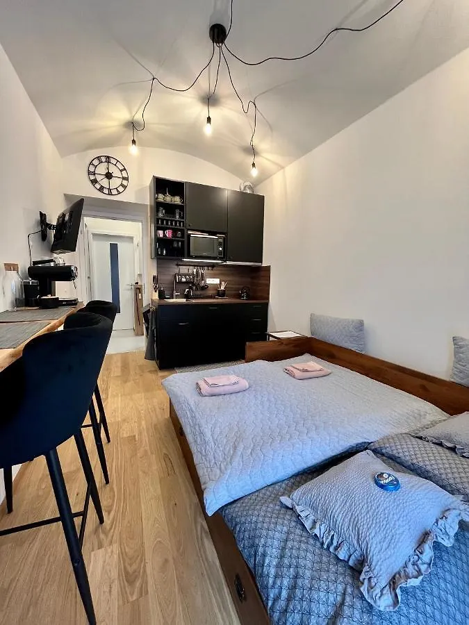 Studio V Prizemi S Kuchyni A Koupelnou Praga